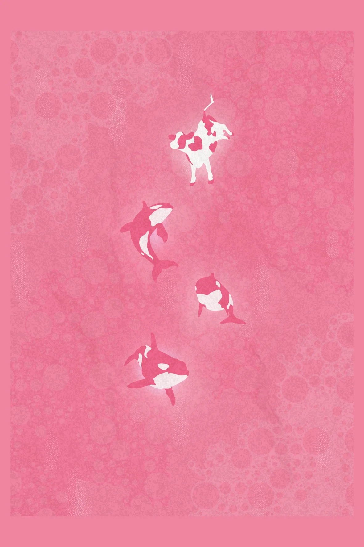 Lehmä ja miekkavalaat